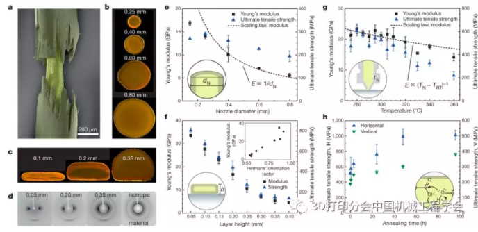 高強輕質(zhì)結(jié)構(gòu)制造新方法—分級3D打印液晶聚合物 高強輕質(zhì)結(jié)構(gòu)制造新方法—分級3D打印液晶聚合物
